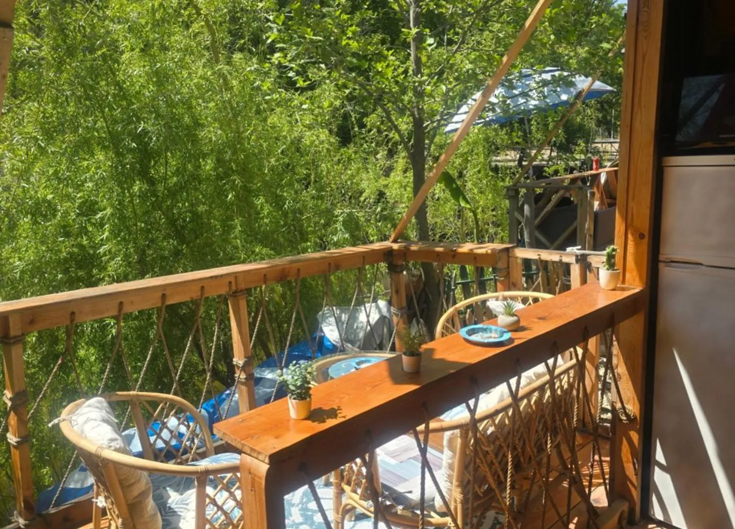 Цветовете На Слънцето Hotel Burgas 0*,